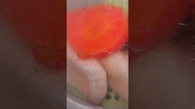 Блендер пароварка Philips avent детская смотреть онлайн