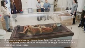 Мумию белокурого воина в саркофаге с климат-контролем привезли в центр Новосибирска