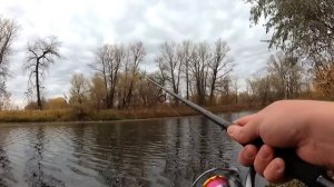 Спиннинг с АлиЭкспресс Для Твичинга | SEAKNIGHT KRAKEN | Тест, джиг, твичинг, рыбалка