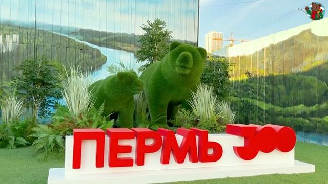 Мишки на Перми 1