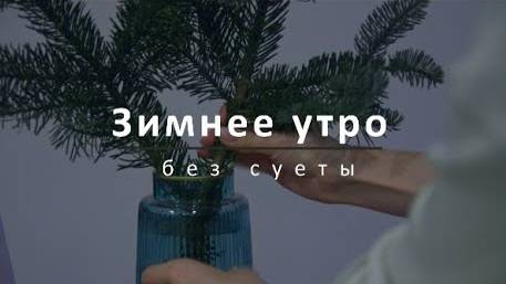 Утренний влог: ранний подъем, неспешный завтрак, предновогоднее настроение, собираю хвойный букет