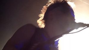 Скворцы Степанова - Валера