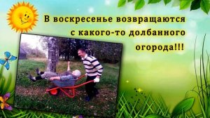 С Днем Дачника. Дачные приколы.  Юмор. "Про дачу..."