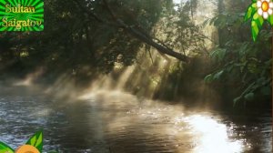 Зина Анасова.   Хьо г1оза вехийла.