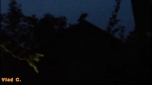 #Music. Танец волка.