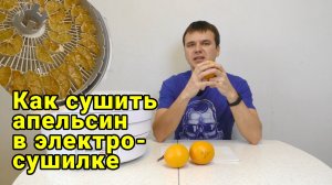 Как сушить апельсин в электросушилке