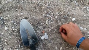 Охота за золотом на Турецких пляжах. Золотая лихорадка.