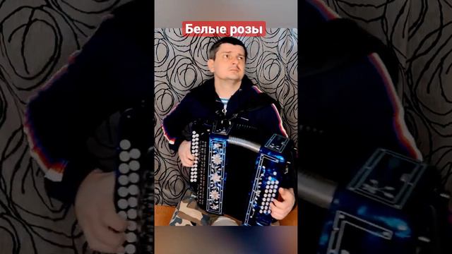 БЕЛЫЕ РОЗЫ