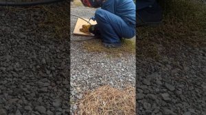 Аврора Динамика 2000 и мои самоделки