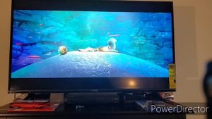 Opening To Rio 2011 DVD.