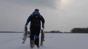 НАШЕЛ ТРОПУ "КРОКОДИЛОВ"!!! ОДИН НА ЛЬДУ С НОЧЕВКОЙ.