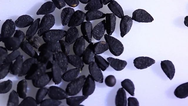 Семена черного тмина или калинджи. смотреть онлайн