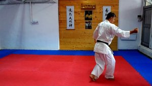 Ката Пинан Cоно Ен киокушинкай каратэ So-Kyokushin karate/ Kata Pinan sono yon