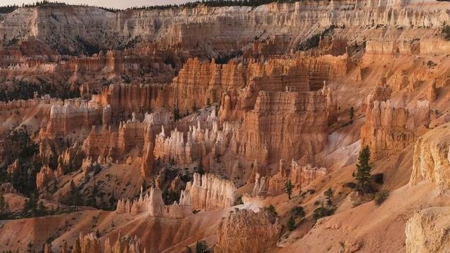 ПРИНЦЕССА-КОШКА #fairytales #сказки смотреть онлайн