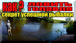 Как успешно ловить ГОЛАВЛЯ на запрессованном перекате. Голавль на спиннинг. Рыбалка с утреца.