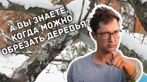 Нюансы зимней обрезки плодовых