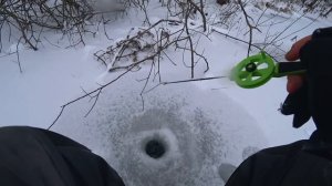 РАЗБУРИЛ КОРЯГИ, а там КЛЮЮТ ЧУДОВИЩА на БЕЗМОТЫЛКУ! Зимняя рыбалка! Первый лёд 2022 - 2023!