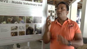 Купание со слонами на Шри Ланке. Слоны + Канди + Дамбулла + Сигирия. Двухдневная экскурсия