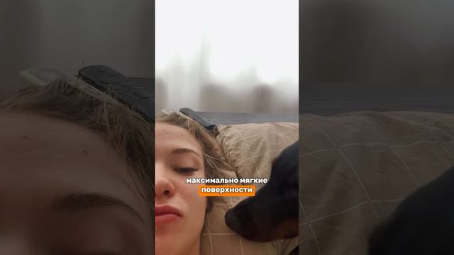 Промокод на скидку 15% VARVARA — действует до 9 сентября 🧡

#доберман #товарыдлясобак