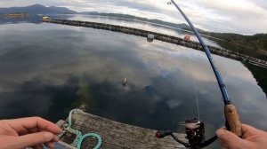 РЫБАЛКА В НОРВЕГИИ. АНАТОЛbЕВИЧ В ШОКЕ ! ГУБАН С ПРИЧАЛА, СКУМБРИЯ С БЕРЕГА.