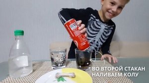 Функциональная грамотность 3 класс : Опыт с уксусом и куриными косточками