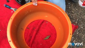 Бетоносмеситель Калибр БСЭ 120, сборка и запуск в работу.