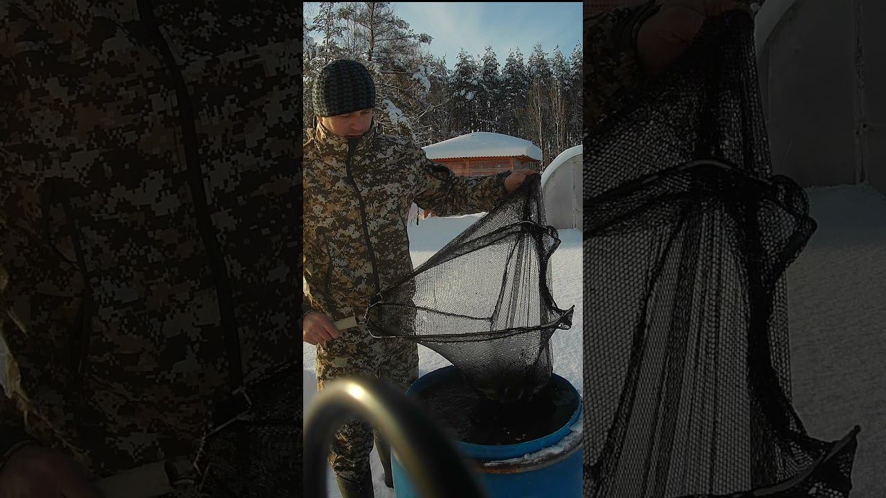 ПОЙМАЛ ПОЛ БОЧКИ ЖИВЦОВ #shorts смотреть онлайн