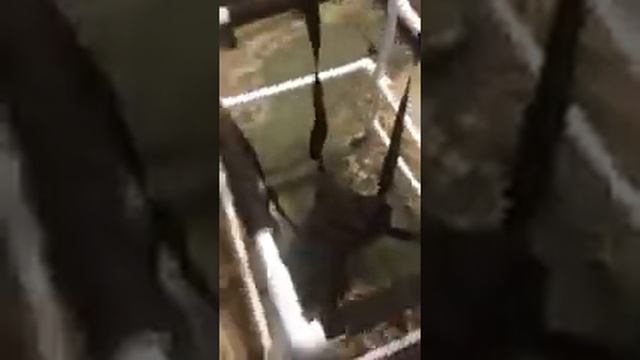 Ходунок для ребенка с ДЦП