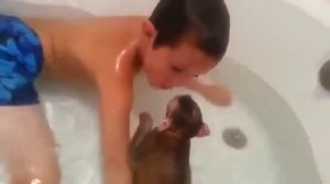 Детей от экрана уберите!!!! Они захотят такое же чудо))