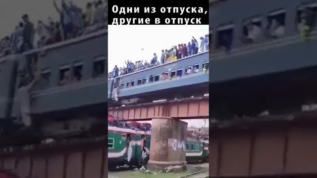 Редкие кадры... одни из отпуска, другие в отпуск.... #улетноевидео #смешно #шутники #приколы #юмор