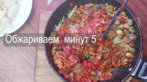 Солянка необыкновенная