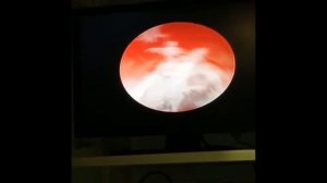 Отоскопия у кошки