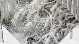 Дилижанс Белым снегом