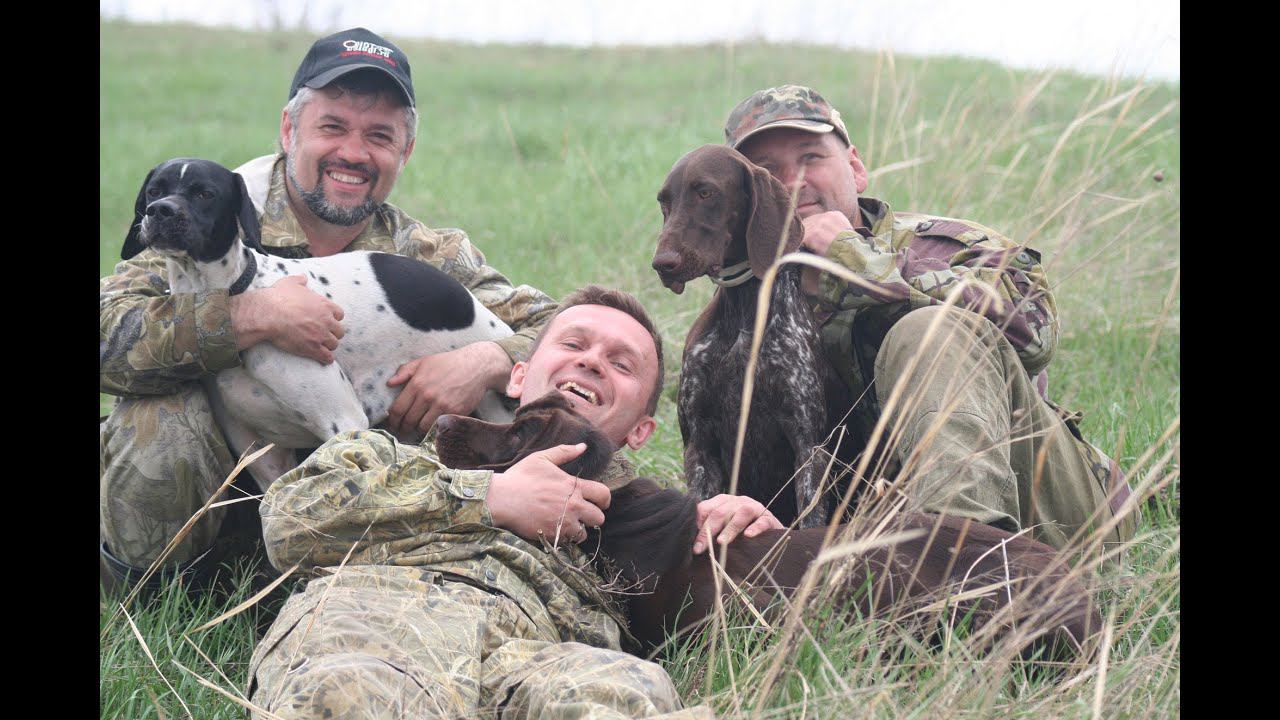 Отзывы участников курса "Азбука натаски" (третий заезд весны 2014 года) смотреть онлайн