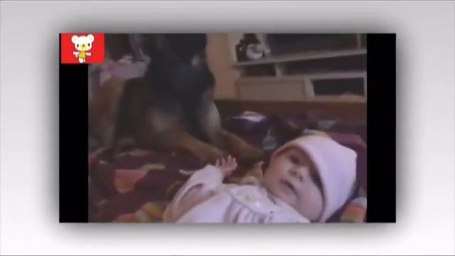 приколы с животными и детьми смотреть онлайн