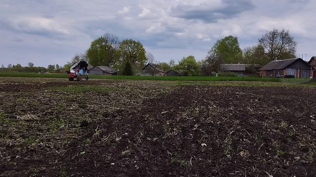 Боронование огорода мотоблоком мтз ?