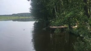 24 05 2018 Здравствуйте РК Фиш'ка Данилово. Карп клюет.