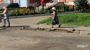 Мэр Биробиджана проинспектировал городскую территорию