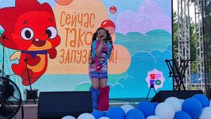 Мягкие Игрушки Дари Ермолаева