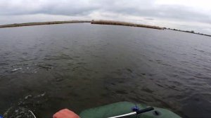 щука на Веселовском водохранилище