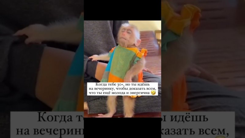 #музыка #юмор