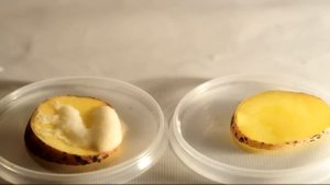 опыт Определение наличия ферментов, расщепляющих перекись водорода