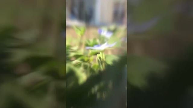 Об иммерсивных прогулках 1