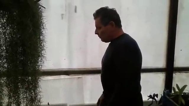 Некоторые особенности содержания Орхидей в теплице смотреть онлайн