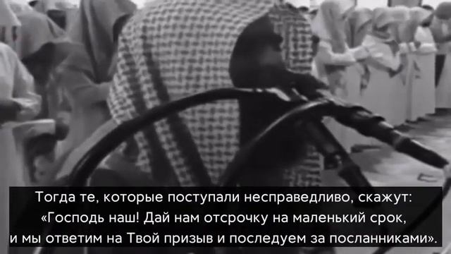 ʍухᴀʍʍᴀд ᴀᴧ ᴧюхᴀйдᴀн ? #люхайдан #мухаммадлюхайдан #коран #палестина #коранисунна #коранлечение