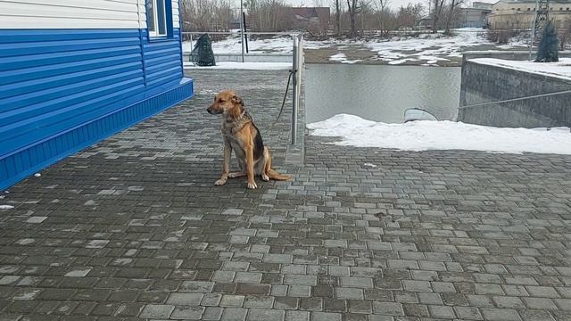 Первый урок. Начало занятий по знаниям.