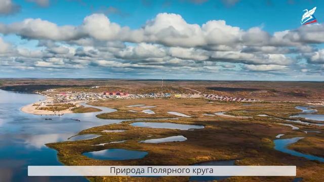 Биологические ресурсы. Биоразнообразие смотреть онлайн