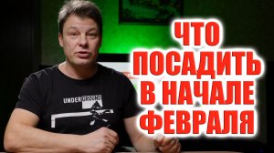 Самое время осваивать навык прививки арбузов и огурцов