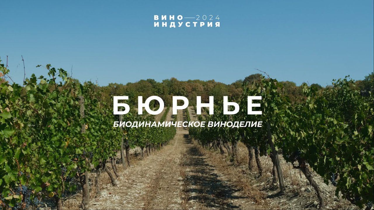 Биодинамическое виноделие в России. Тур на винодельню Бюрнье Краснодарский край