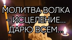 МОЛИТВА ВОЛКА - ИСЦЕЛЕНИЕ... ДАРЮ ВСЕМ...